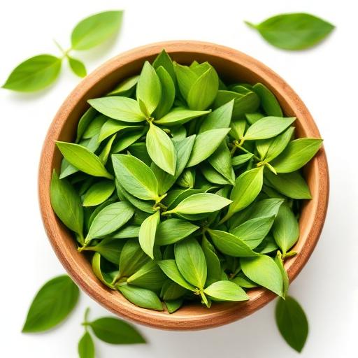 Green Tea Extract